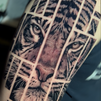 Lattuada-Tattoo_Tiger_poliptico_realism-2